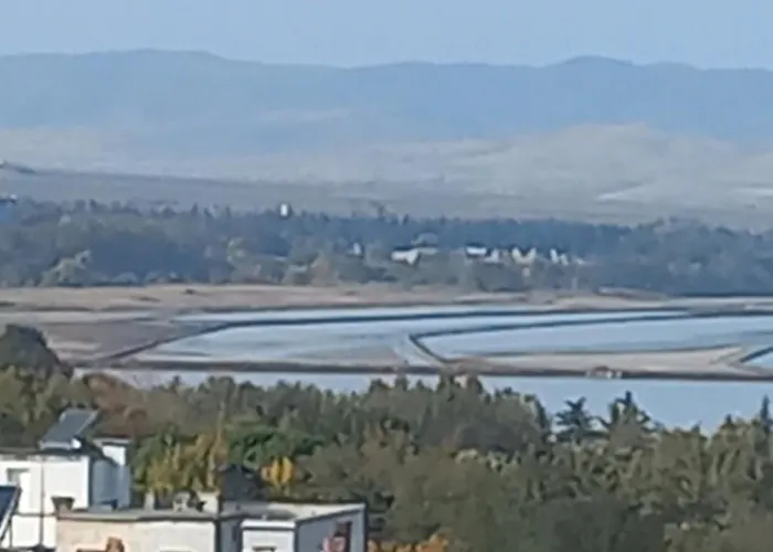 Krisiya In Lägenhet *